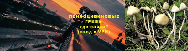 прущие крисы Алзамай