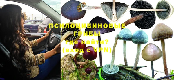 прущие крисы Алзамай
