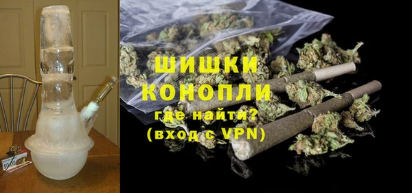сатива Болотное