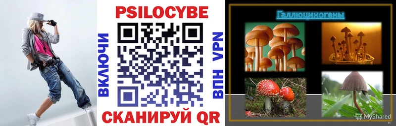 Галлюциногенные грибы прущие грибы  blacksprut рабочий сайт  Змеиногорск 